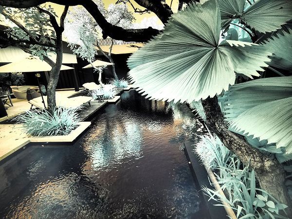 Eggers, Terry 아티스트의 Bali-Ubud-Ponds and pools at hotel in Ubud작품입니다.